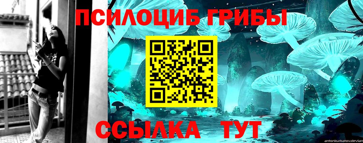 дарнет шоп  Вход с VPN  Галлюциногенные грибы Psilocybe  Шарыпово  Псилоцибиновые грибы Psilocybine cubensis 